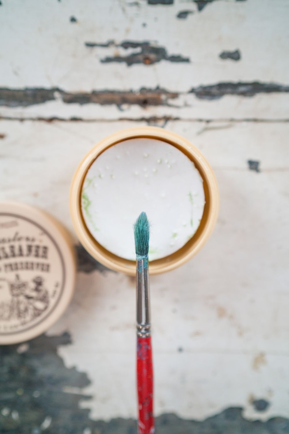 The Masters® Brush Cleaner & Preserver