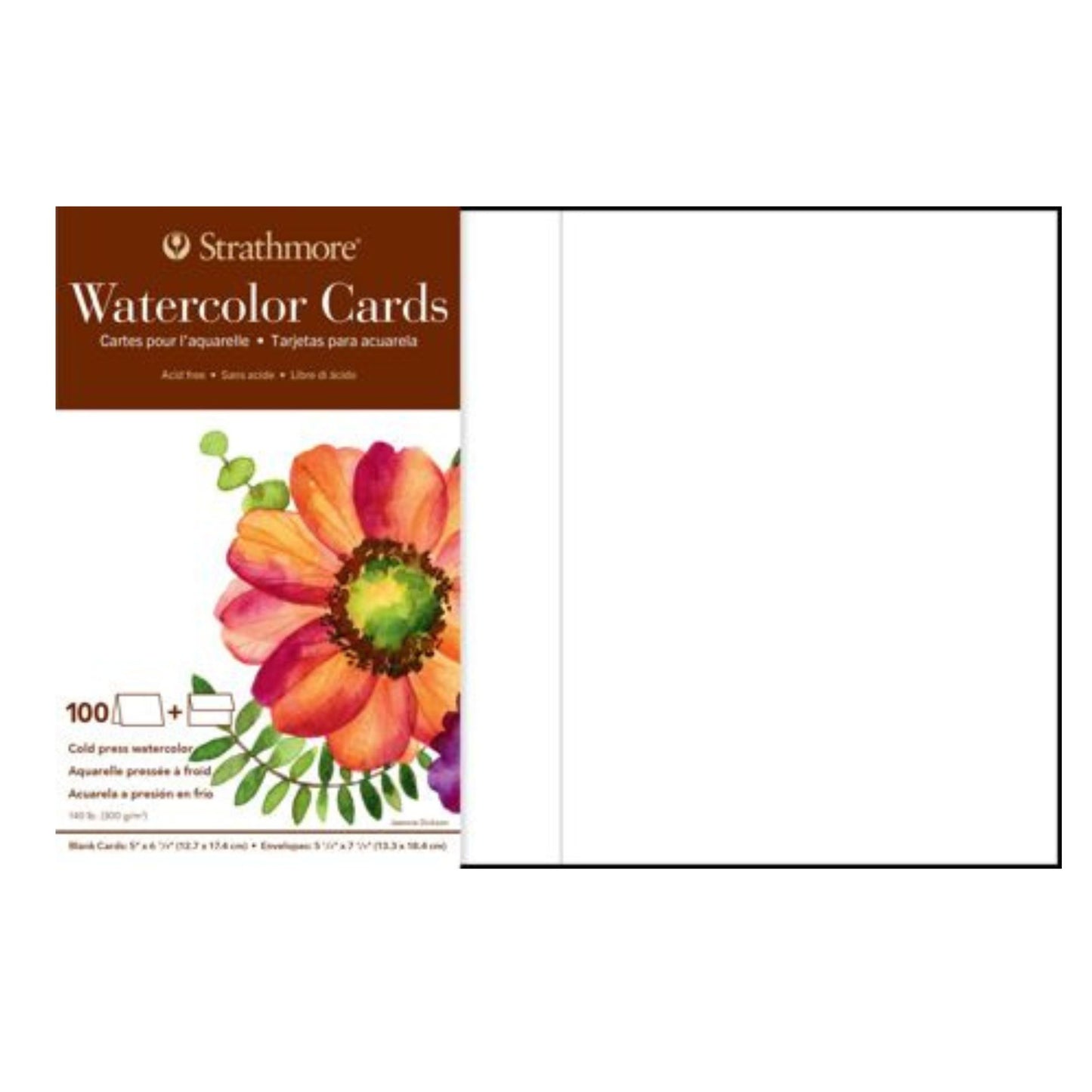 Strathmore Cards & Envelopes 5"X6.875" BULK 100/Pkg